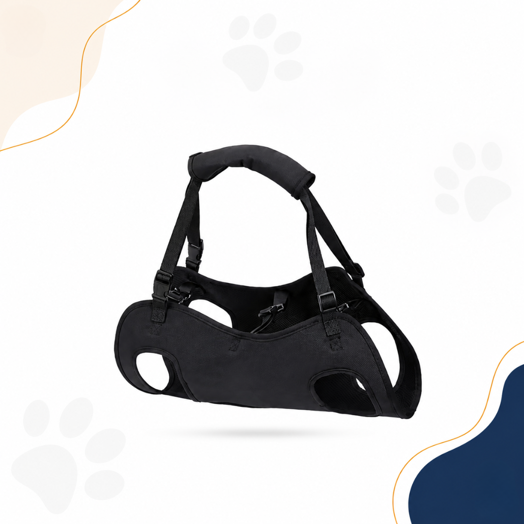 Adjustable Dog Lift Harness – Pawgether