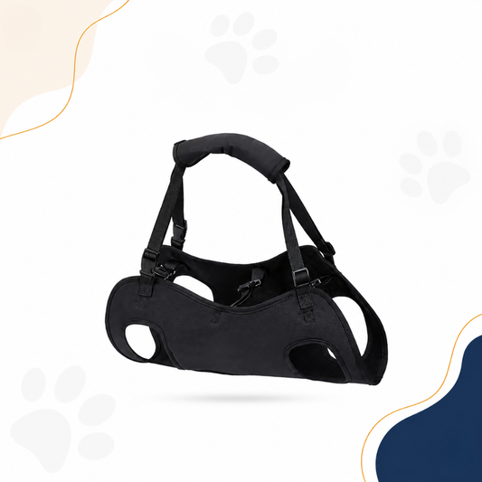 Adjustable Dog Lift Harness – Pawgether