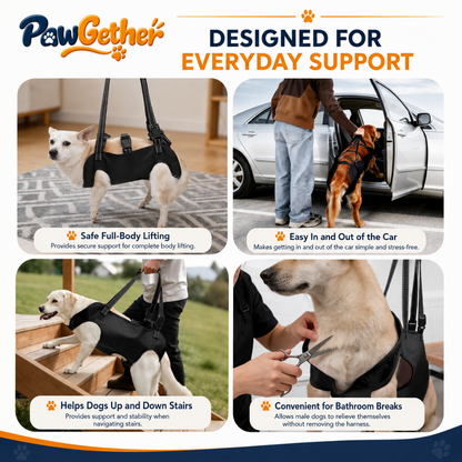 Adjustable Dog Lift Harness – Pawgether